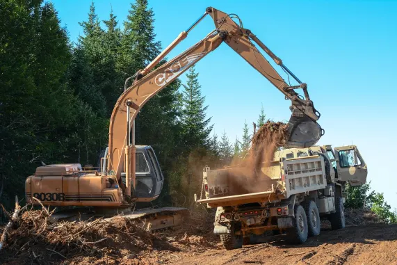 BetMotion Kasino Podpora